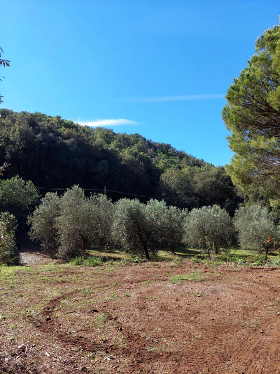 Agriturismo Paradisa Rio dellʼElba