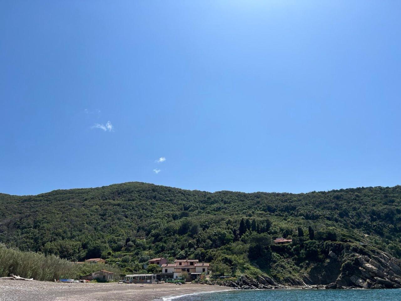 Paradisa