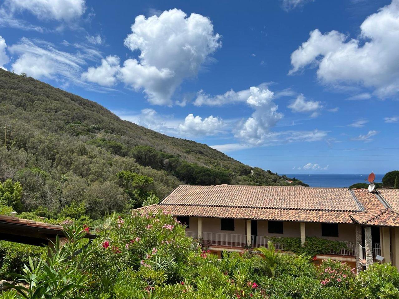 Paradisa